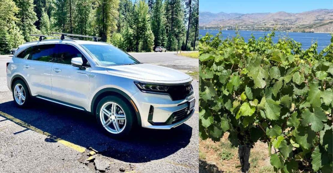 sorento20phev20and20grape20vines20at20lake20chelan