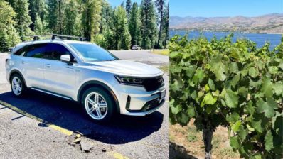 sorento20phev20and20grape20vines20at20lake20chelan