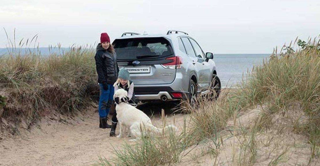 2023 subaru forester cr quietest compact suvs