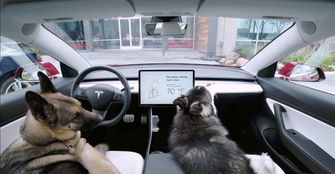 tesla dog mode