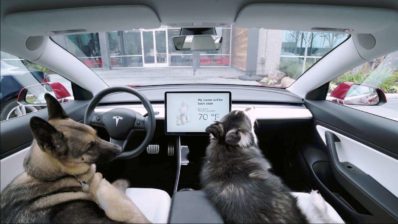 tesla dog mode